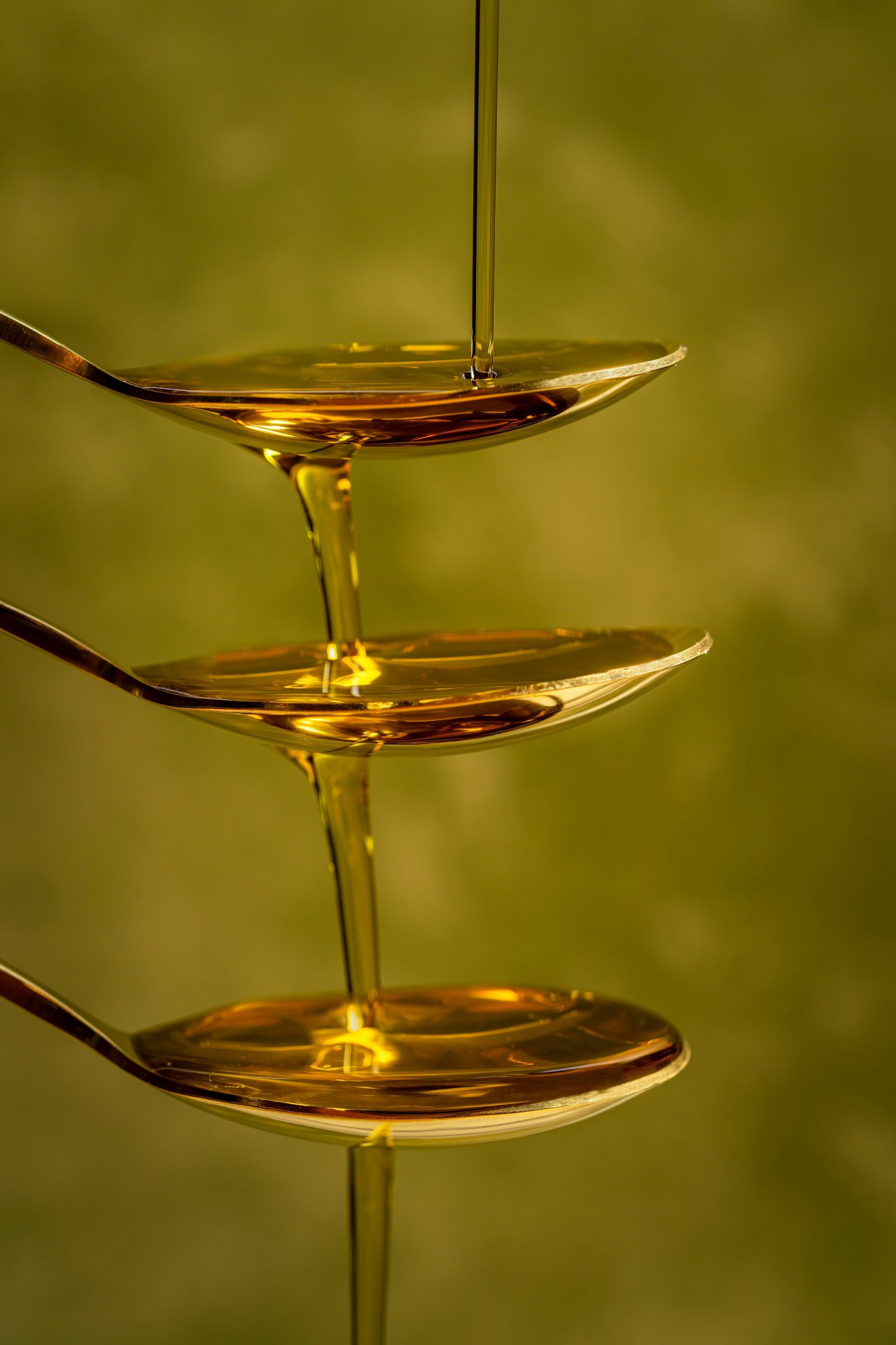 Olive oil tasting experience - Dubrovnik Finest 
