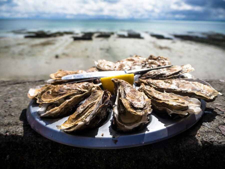 Oyster tasting experience - Dubrovnik Finest 