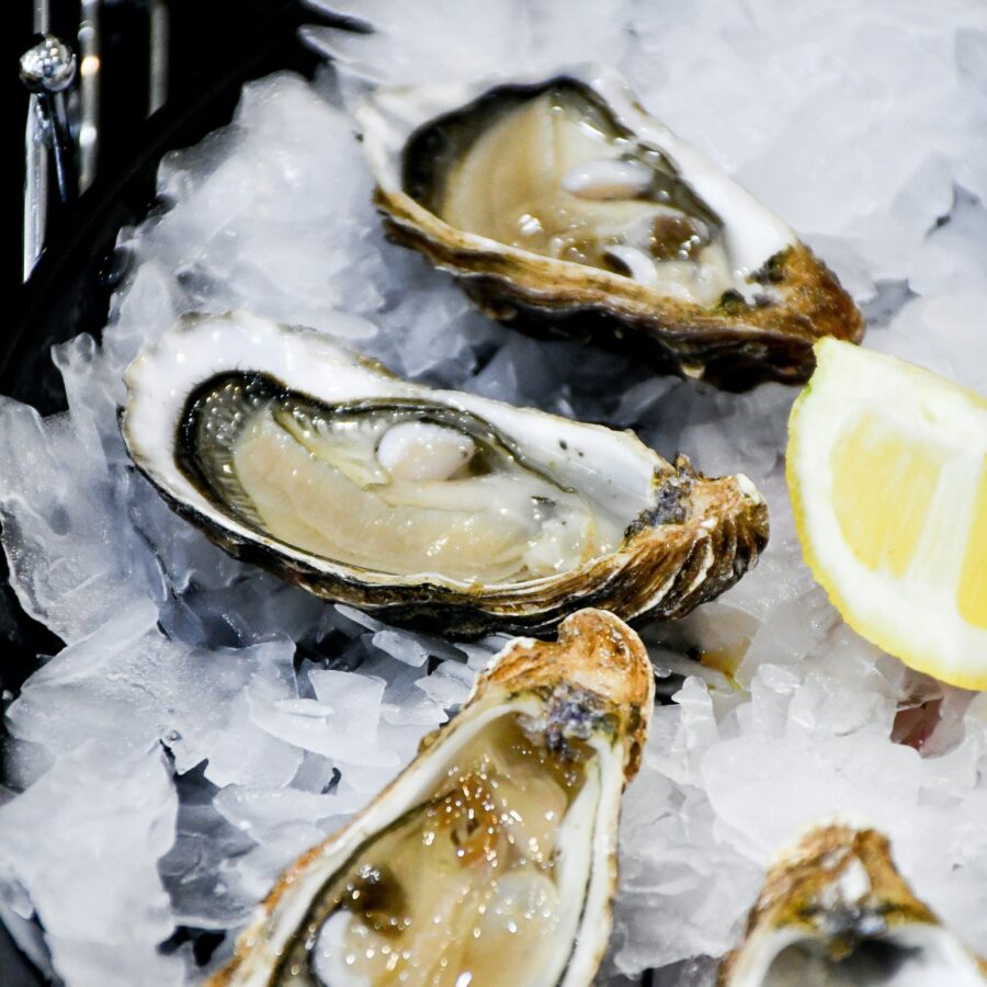 Oyster Tasting in Mali Ston - Dubrovnik Finest 