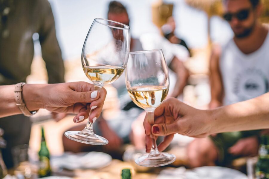 Wine Regions Near Dubrovnik - Dubrovnik Finest 